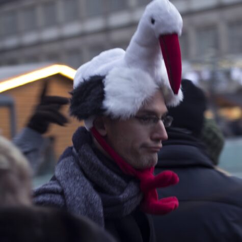 touristes alsace cigogne
