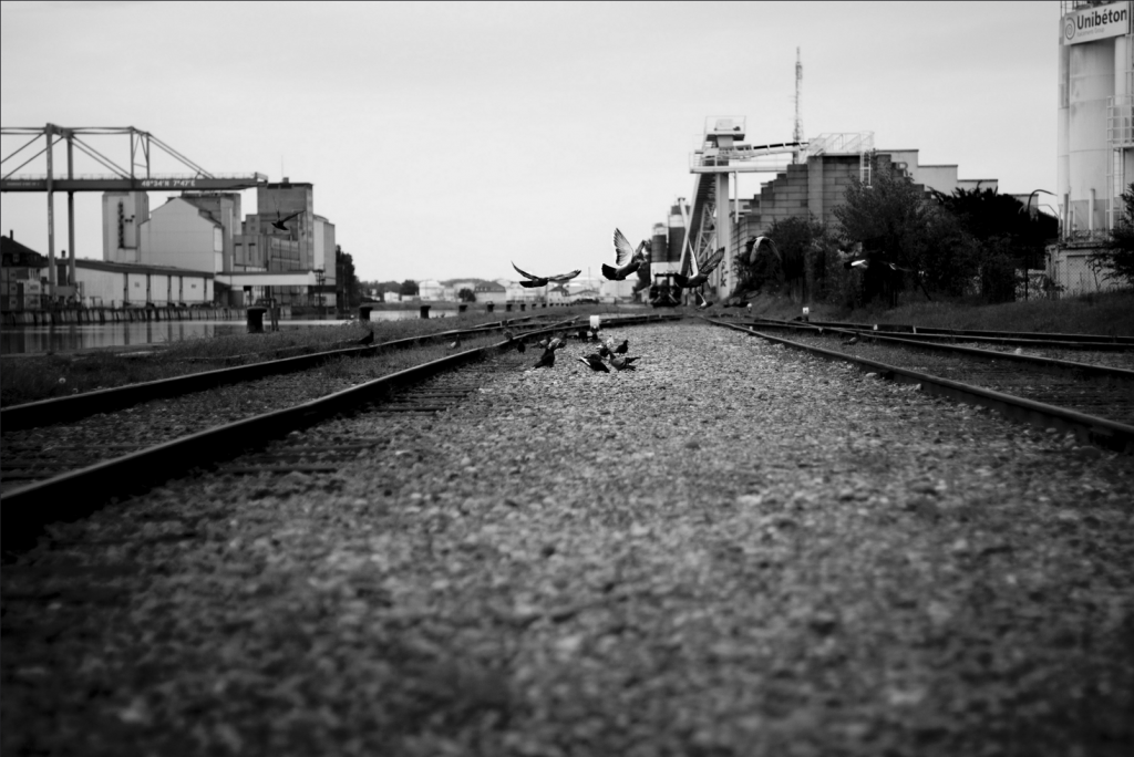 Capture d’écran 2016-01-12 à 22.59.13