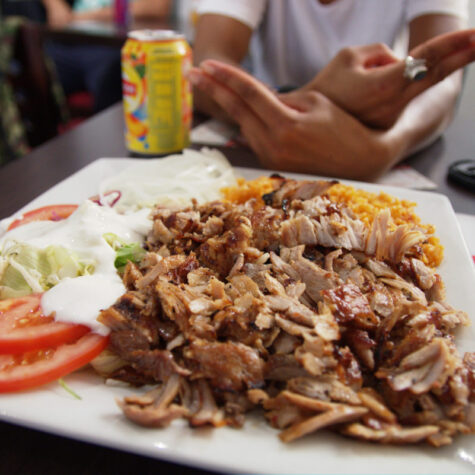 fast food kebab