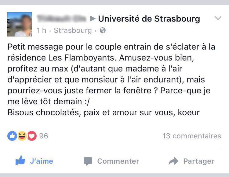 universite-strasbourg-facebook6