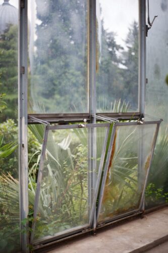 Serre tropicale jardin botanique
