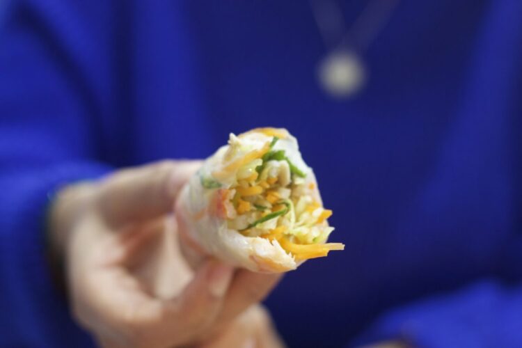 nems cuisine asiatique