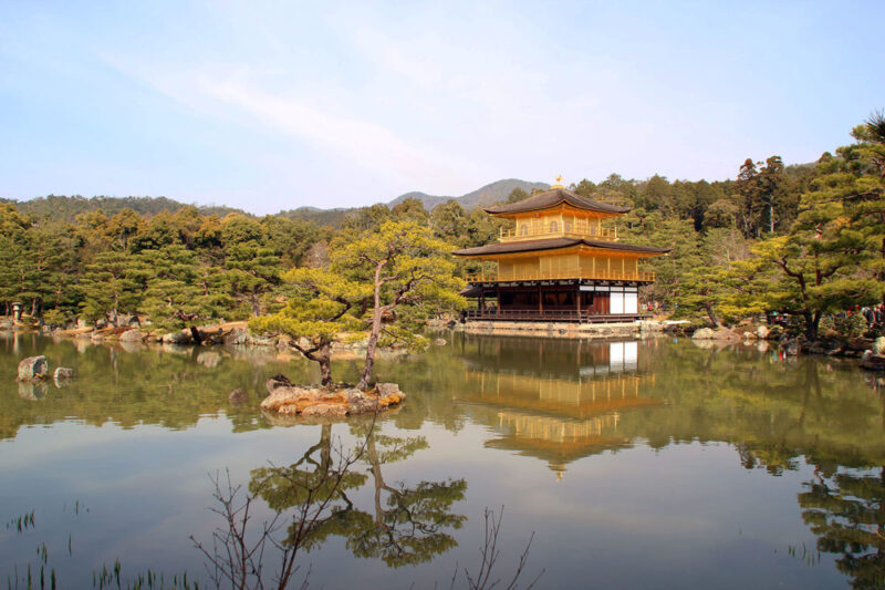 japon coraline arsmondo strasbourg (2)