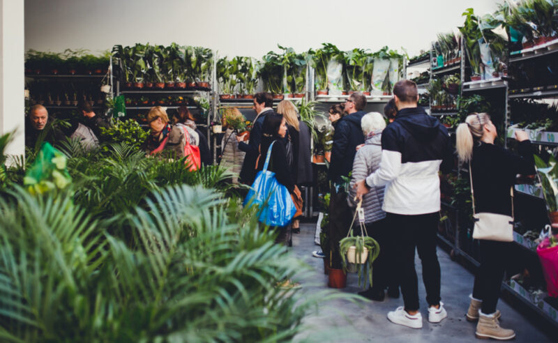plantes pour tous- vente de plantes-strasbourg