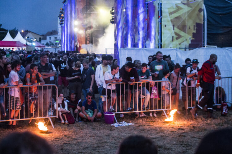 Summer Vibration n6 2019 Festival Reggae Sélestat Zone 51 @ Martin Lelievre (85)