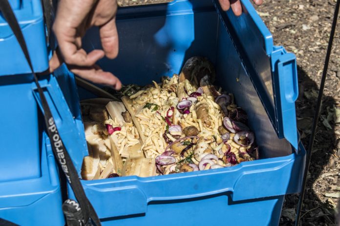 Martin Compost 6 infos à connaître pour composter ses déchets organiques à Strasbourg