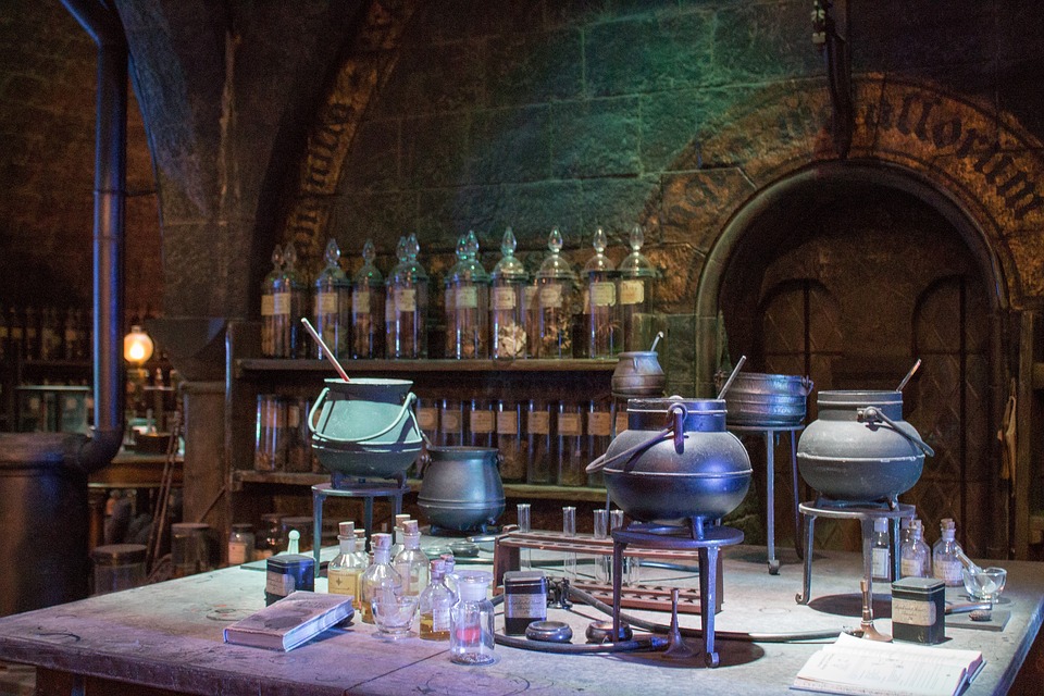 Poudlard, Gryffondor un lycée de Strasbourg nomme ses classes d'après  Harry Potter !