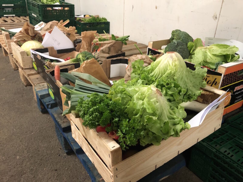 primeur légumes salades