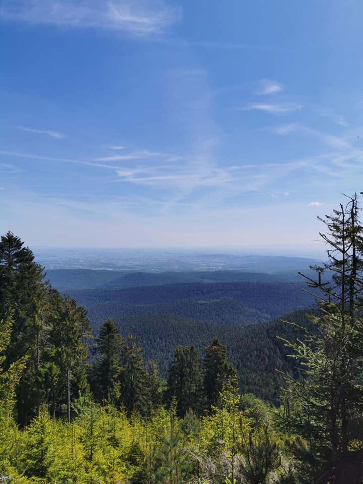 Sortie Nature La D Couverte Du Somptueux Panorama Du Schneeberg