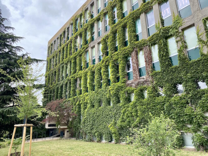 bâtiments université de strasbourg pokaa 9