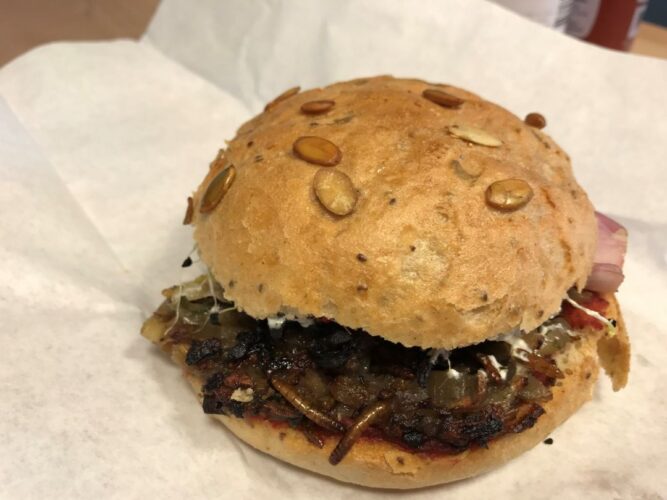 burger insectes labo