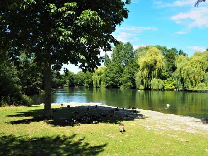 strasbourg_montagne_verte (20)