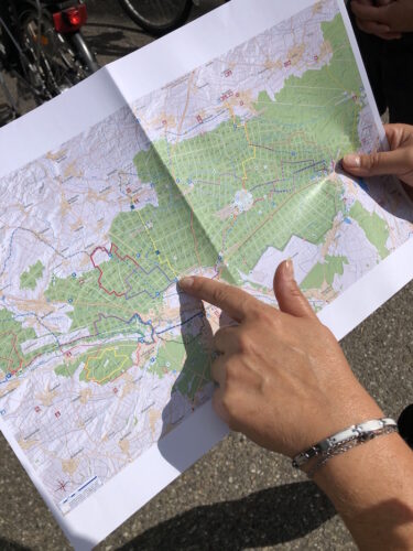 Forêt d&rsquo;exception de Haguenau sortie évasion pokaa 13