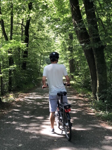 Forêt d&rsquo;exception de Haguenau sortie évasion pokaa 21