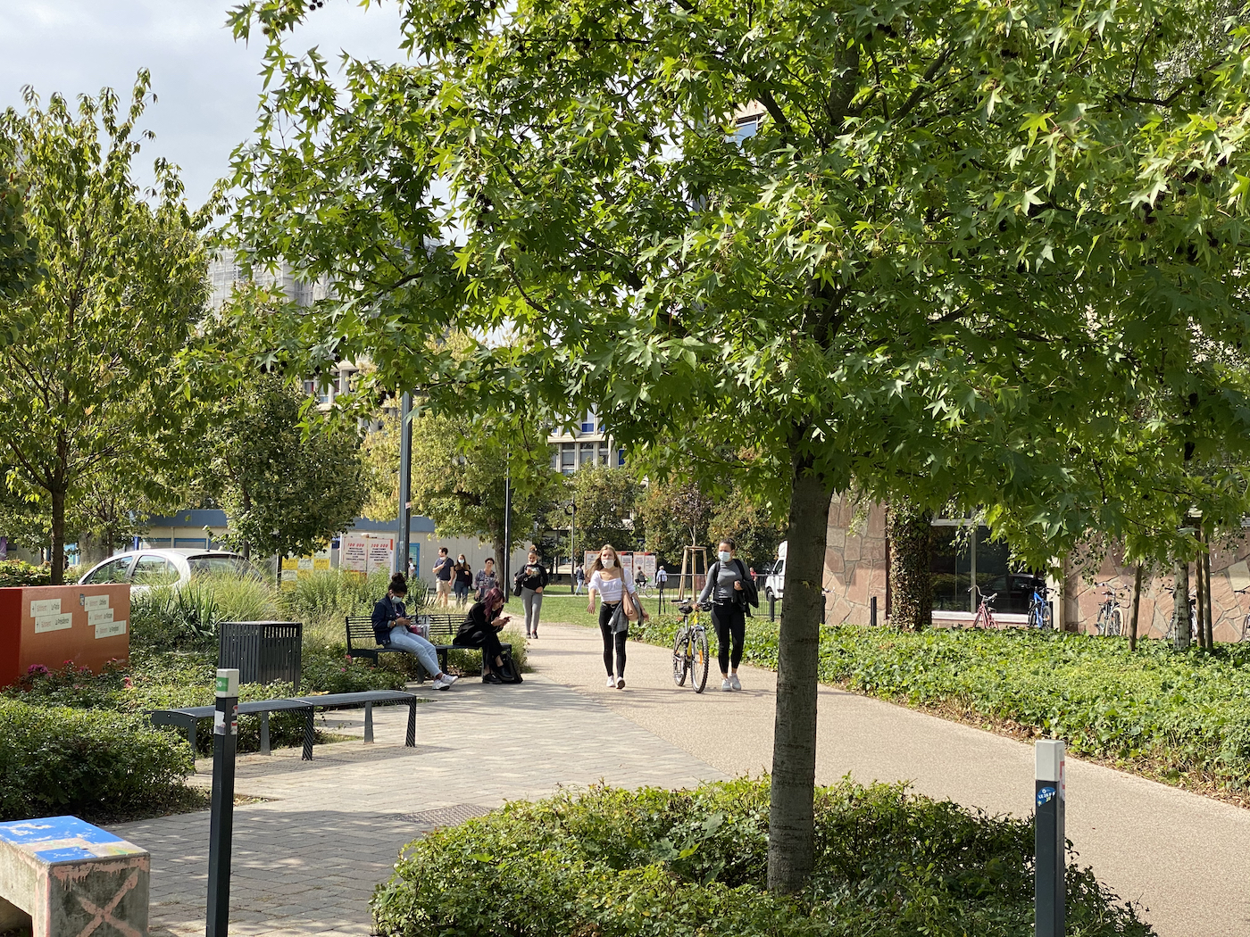 campus étudiants fac esplanade université43