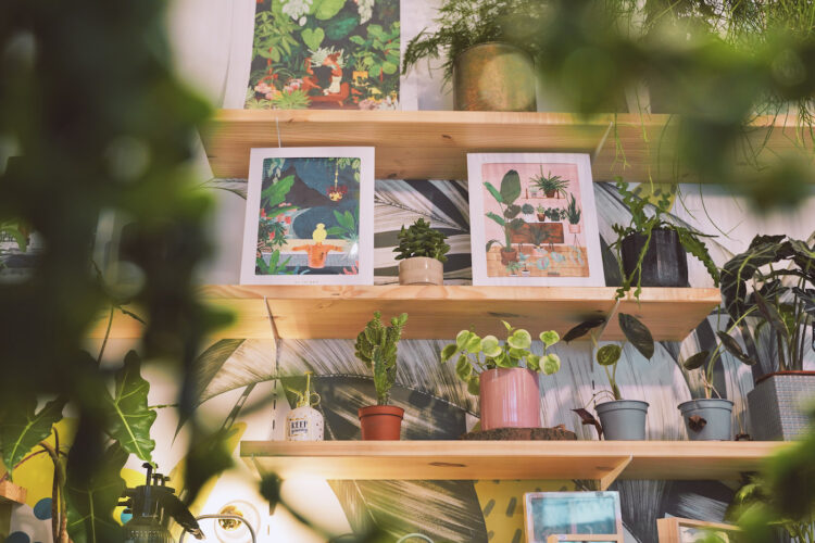 tchungle plantes