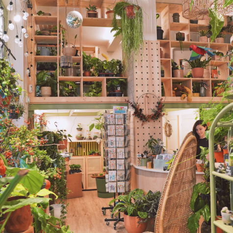 plantes nature commerce