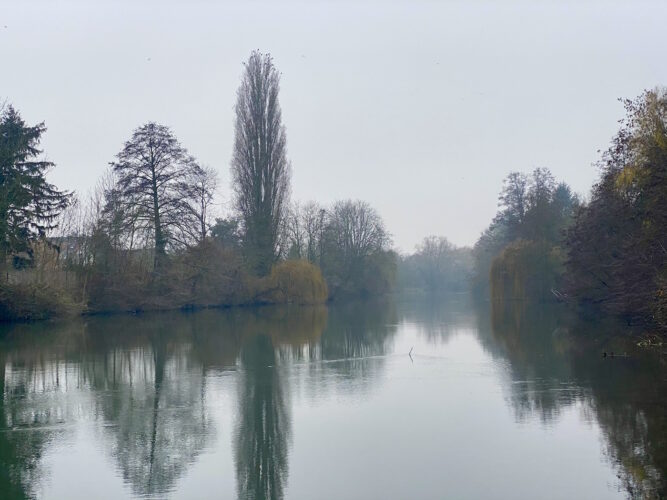 immersion quartier elsau strasbourg pokaa 19