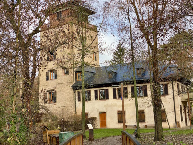 immersion quartier koenigshoffen22