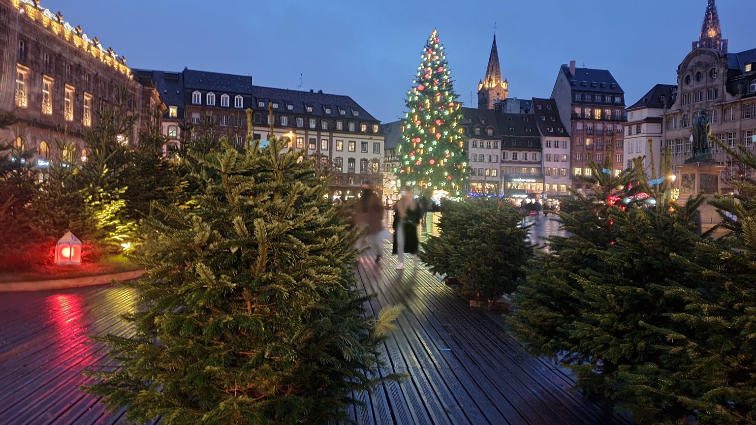 Où acheter facilement son sapin de Noël à Strasbourg centre cette année