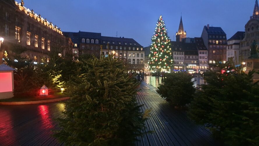 sapin noel strasbourg riehl kleber VI