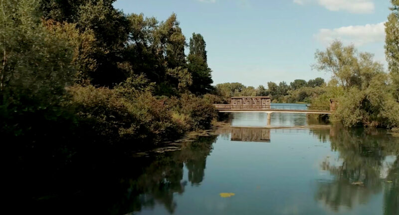 reserve-ile-Rohrschollen-edf-poisson