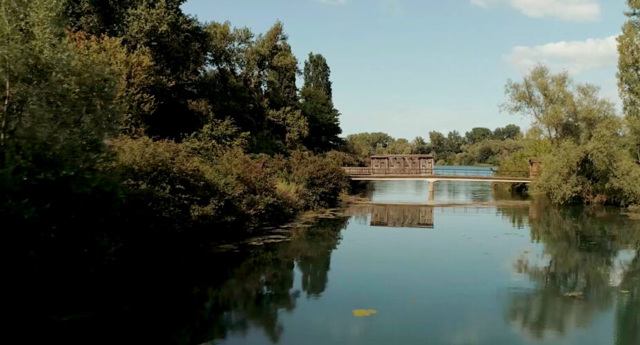 reserve-ile-Rohrschollen-edf-poisson