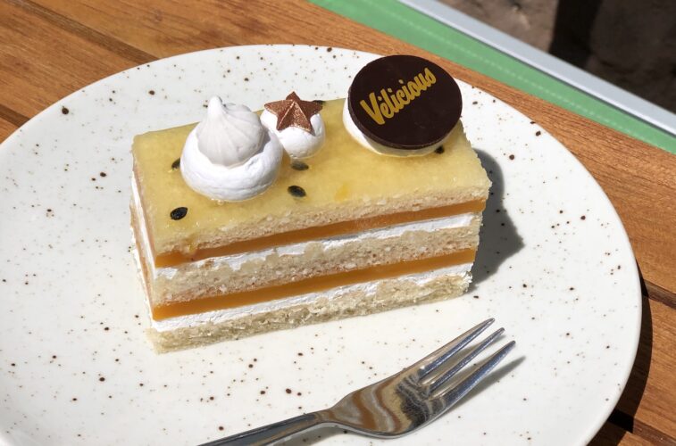 Vélicious plats véganes image00027