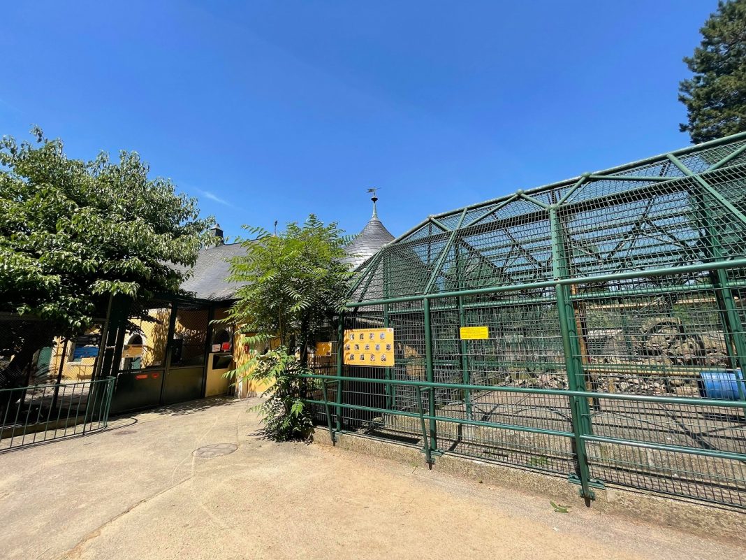 zoo orangerie