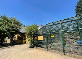 zoo orangerie