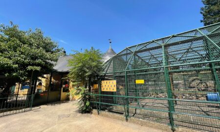 zoo orangerie