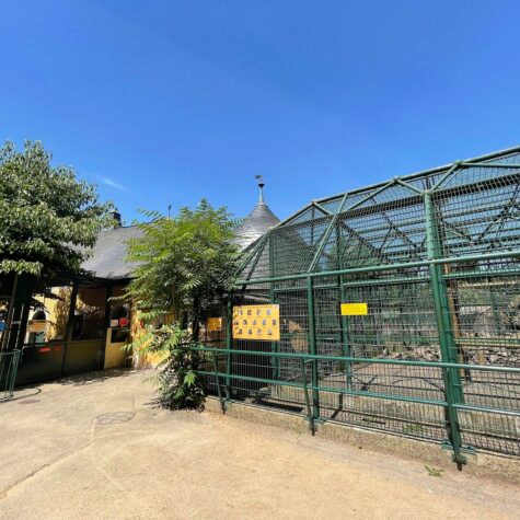 zoo orangerie