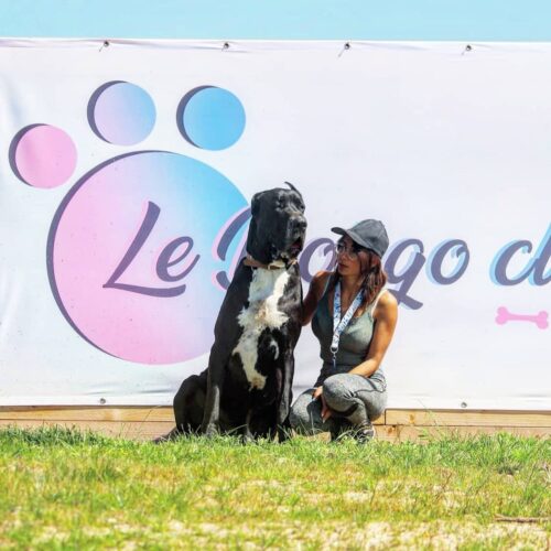 Doogo club crédit doogo club