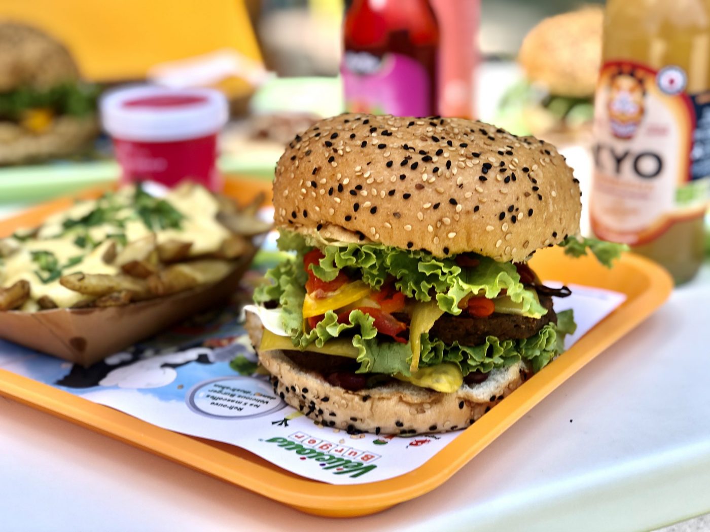 Vélicious burger parc de l’étoile (12)