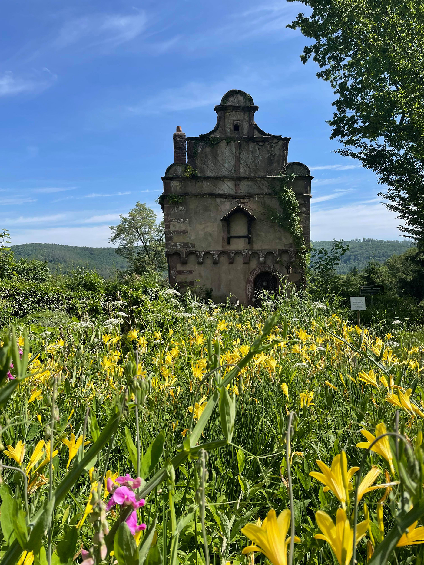 tourisme alsace hanau la petite pierre randonnée  (19)