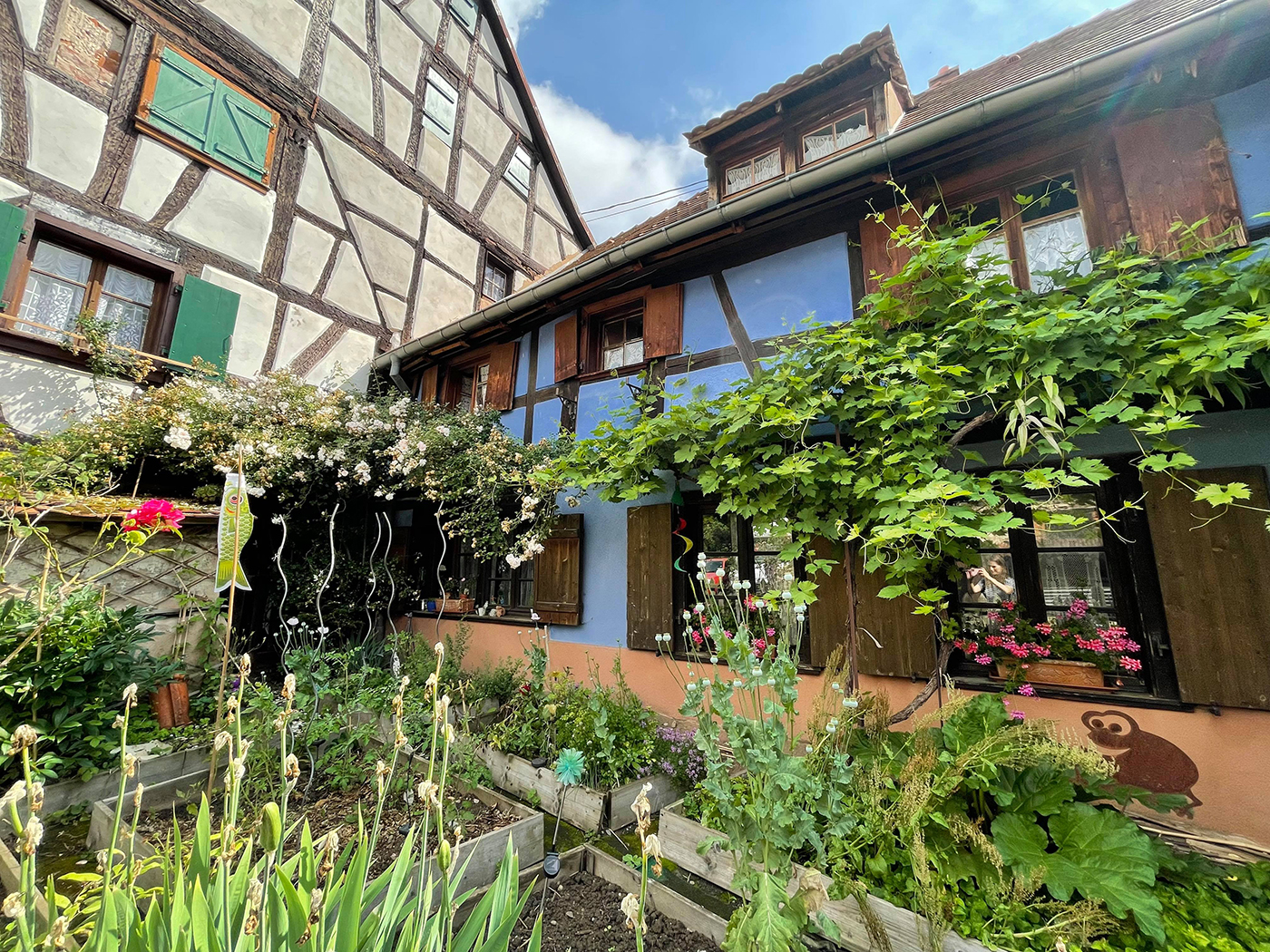 tourisme alsace hanau la petite pierre randonnée  (2)