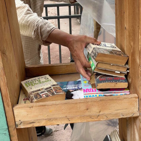 Cabane à livres