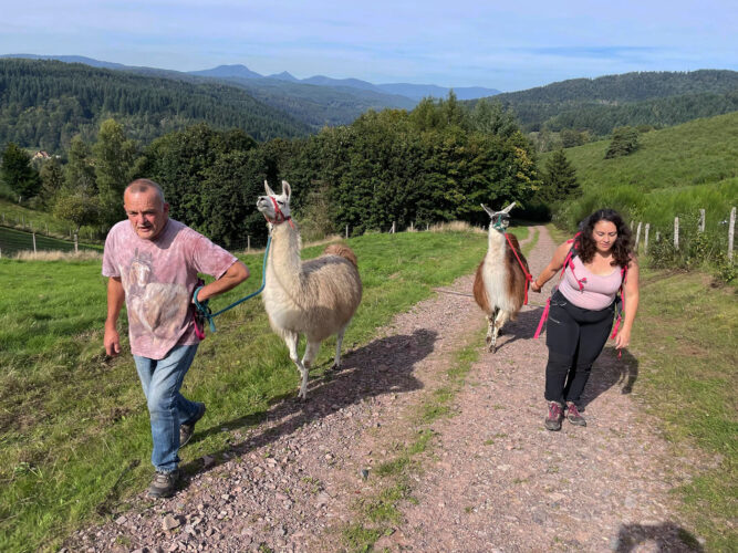 randonnée lamas vallée de la bruche (16)