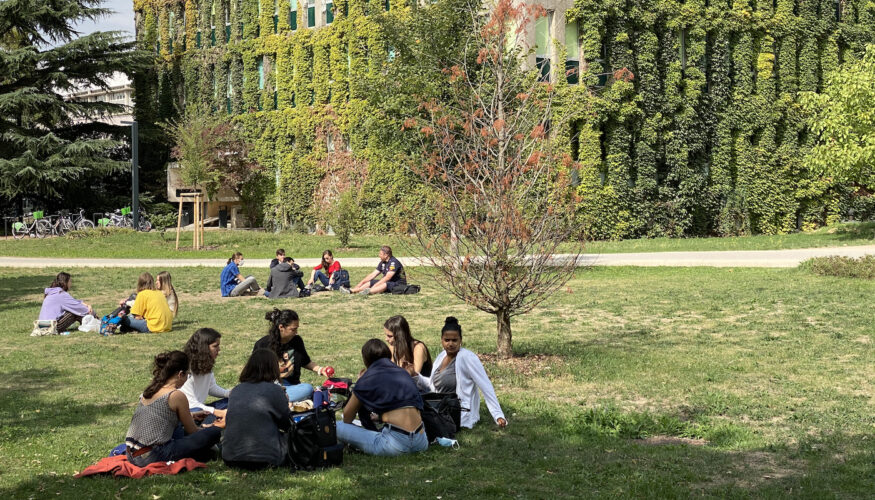 strasbourgaimesesetudiants-campus-etudiants-fac-esplanade-universite22
