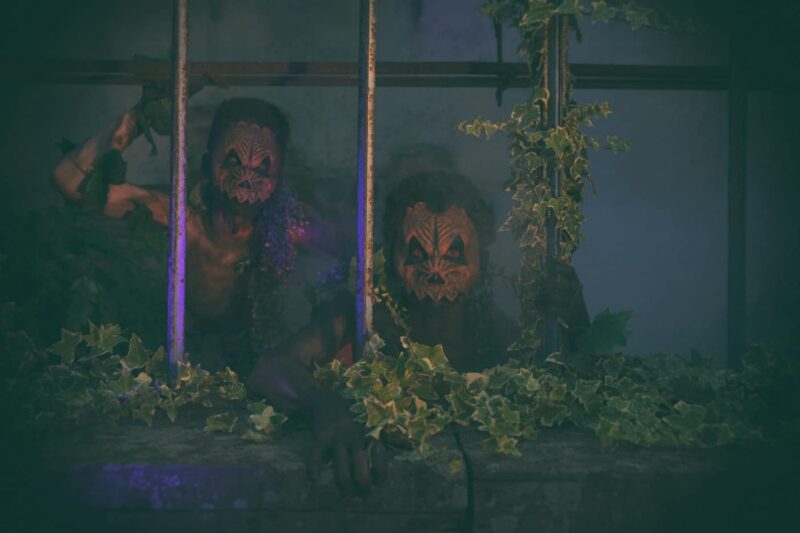Nuit des Phobies + dorlisheim + ferme maurer + labyrinthe