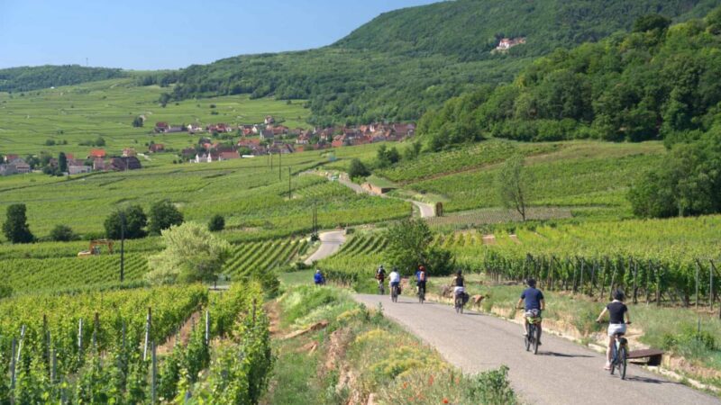 Le Fascinant Week-End + vélo + vignes + route des vins d&rsquo;Alsace