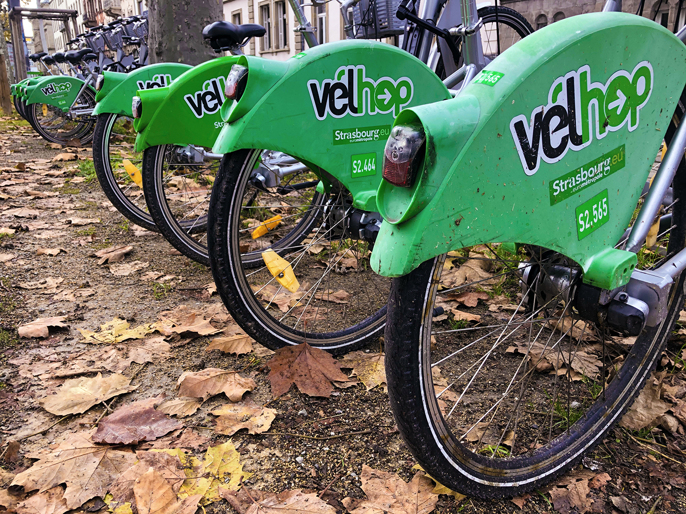 vélo velhop close up