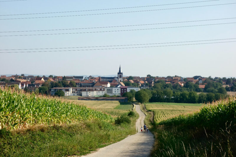 Dauendorf