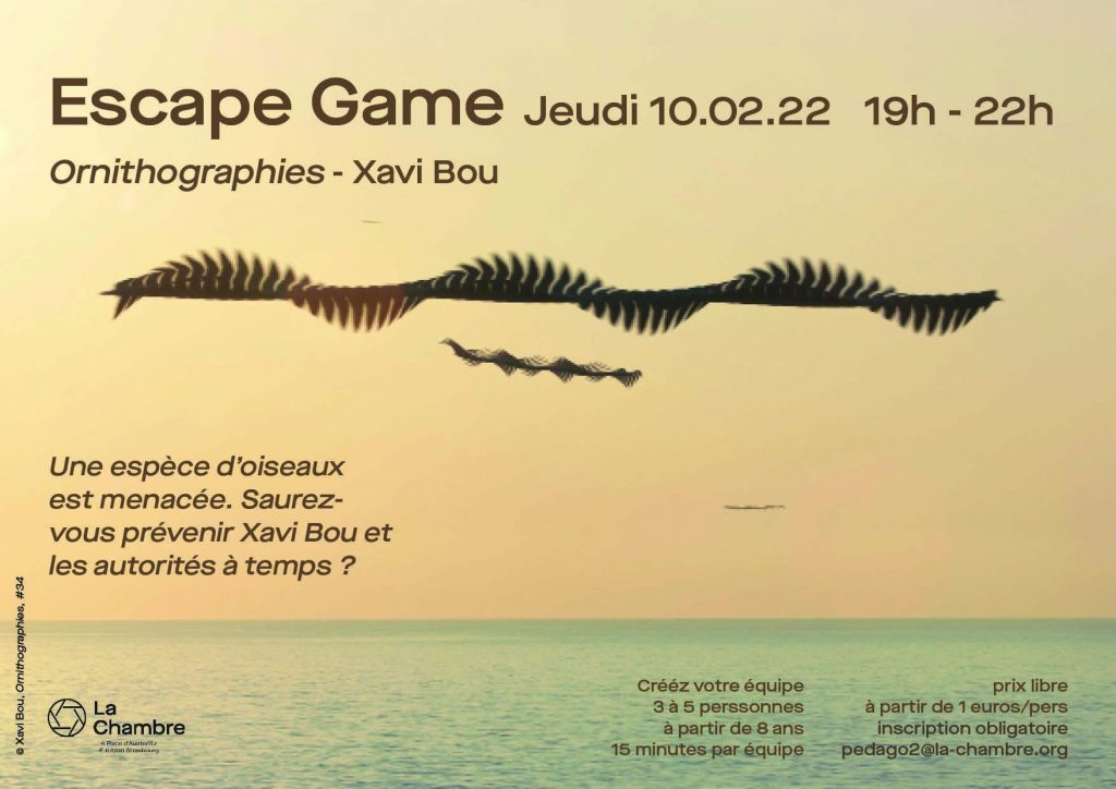 Affiche expo escape game Ornitographies de Xavier Bou