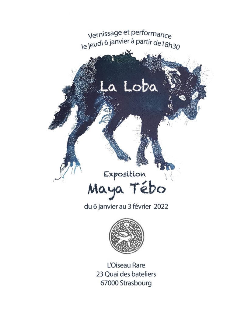 affiche exposition Maya Tébo à L'oiseau rare