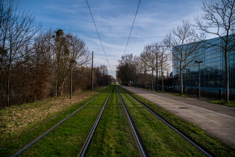 tram transport cts