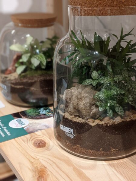 Garden Party + terrarium + gros bordel + graffalgar