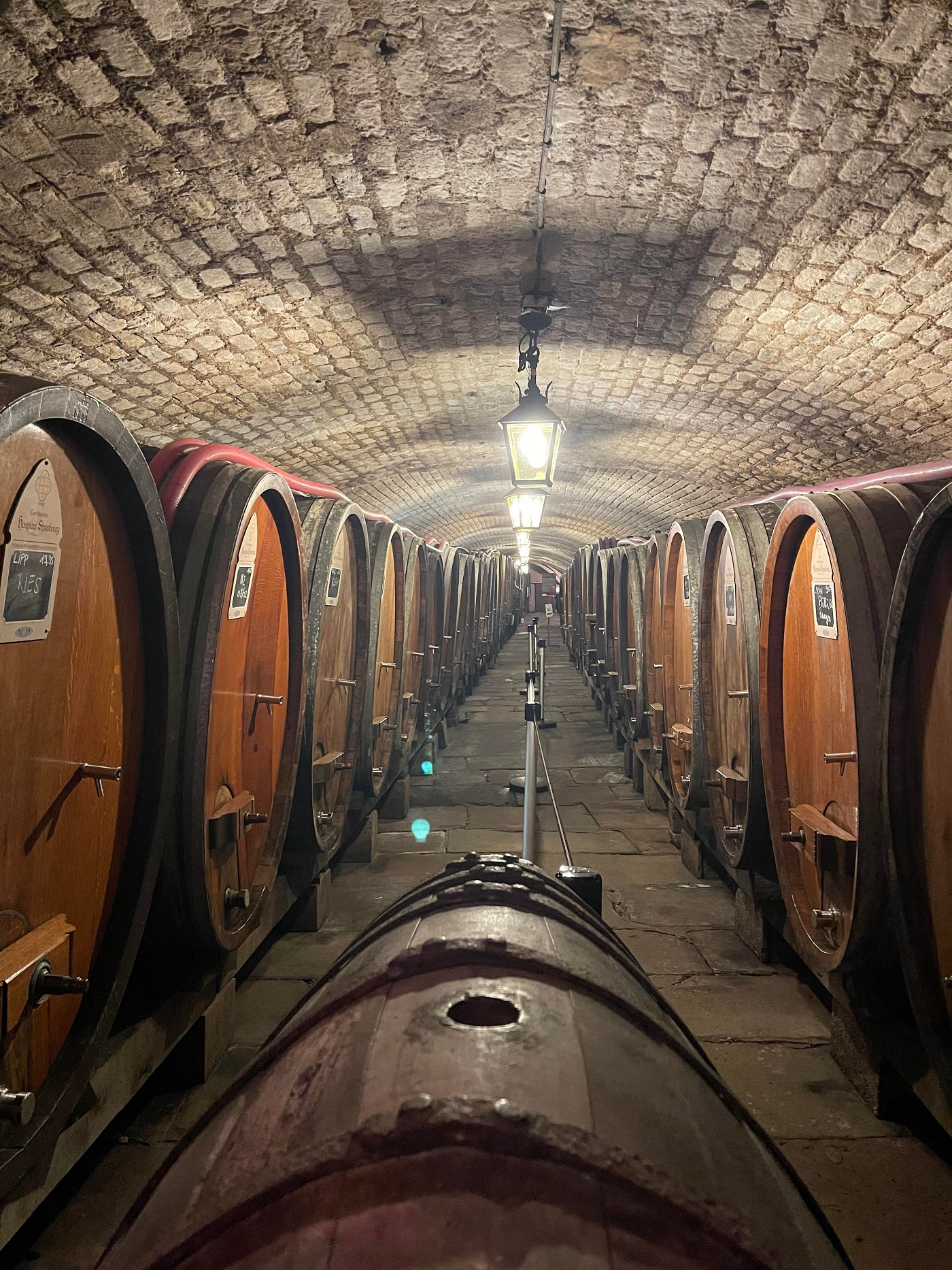 Cave Hospices vin