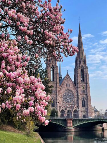 printemps