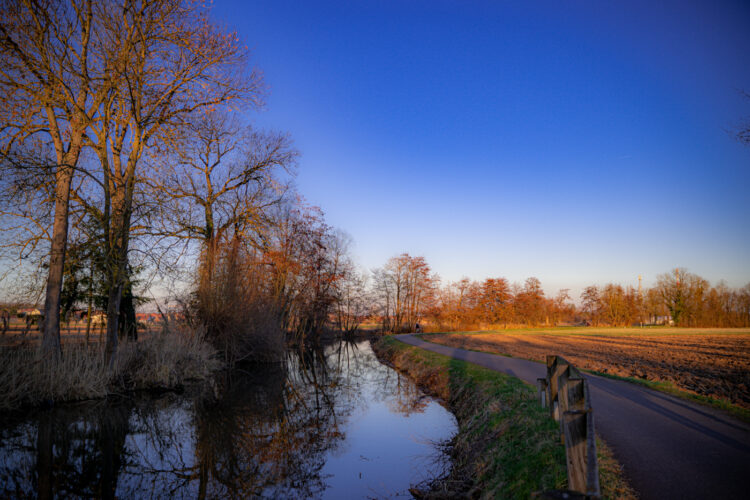 canal de la bruche nature